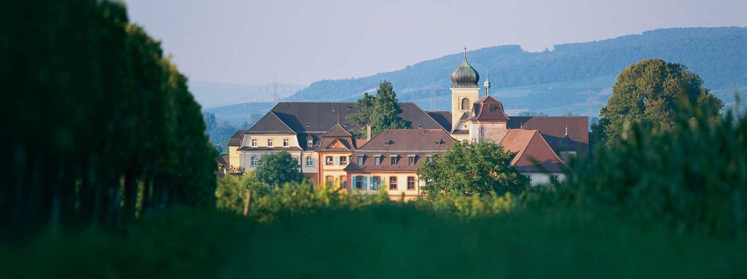 schloss-heitersheim-by-ralf-killian-pano